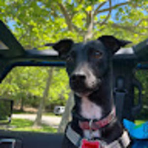 Meet your Posher, Brandy